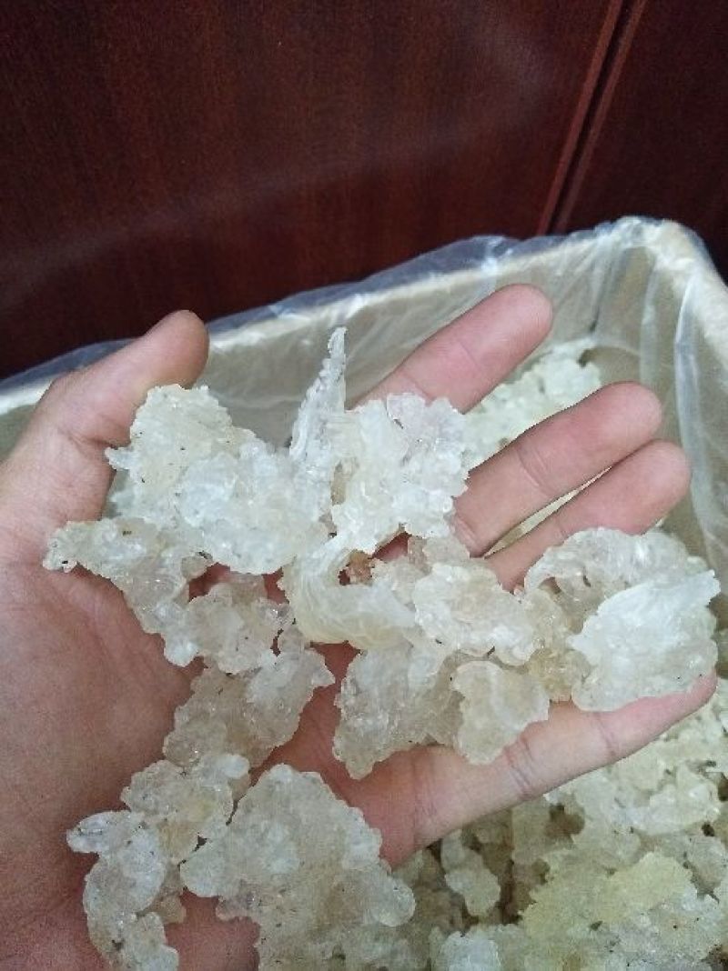 雪燕拉丝雪燕植物燕窝木髓丝滑胶原