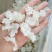 雪燕拉丝雪燕植物燕窝木髓丝滑胶原