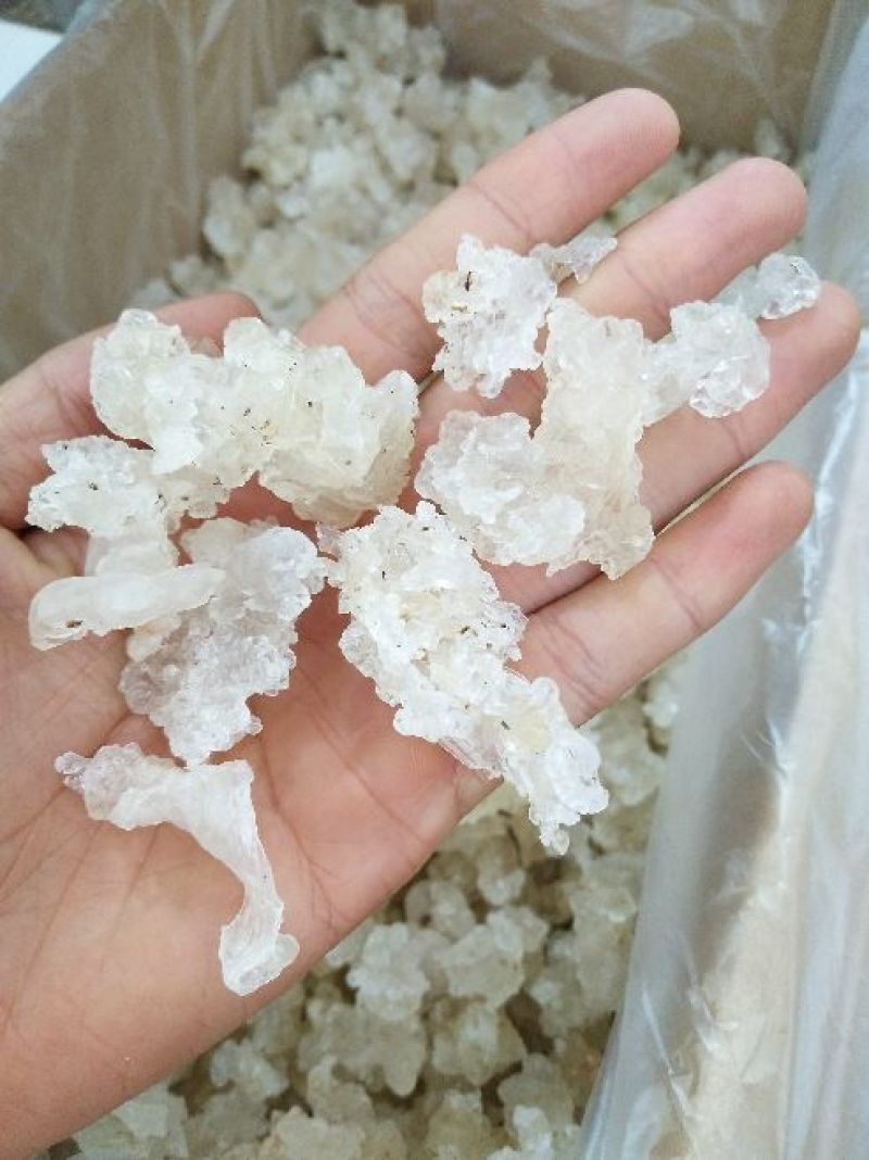 雪燕拉丝雪燕植物燕窝木髓丝滑胶原
