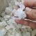 雪燕拉丝雪燕植物燕窝木髓丝滑胶原