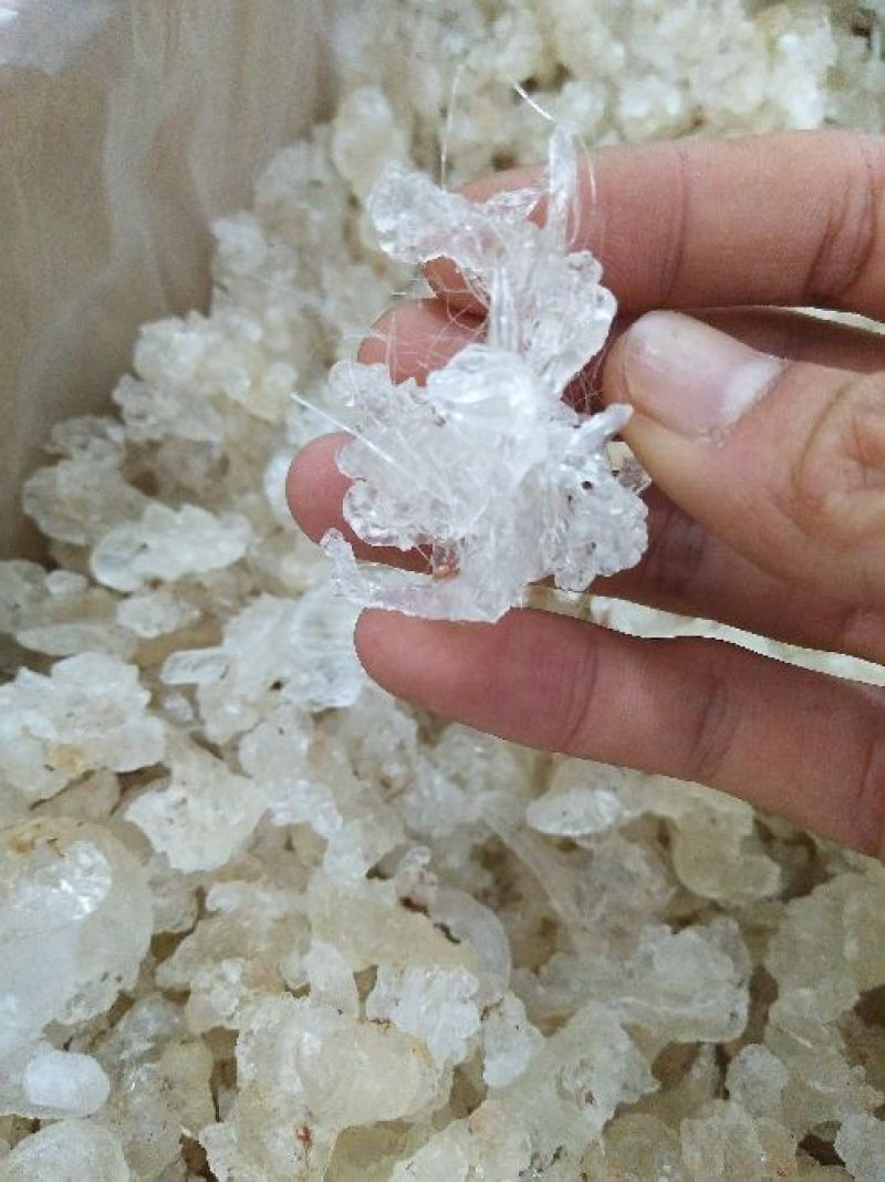 雪燕拉丝雪燕植物燕窝木髓丝滑胶原