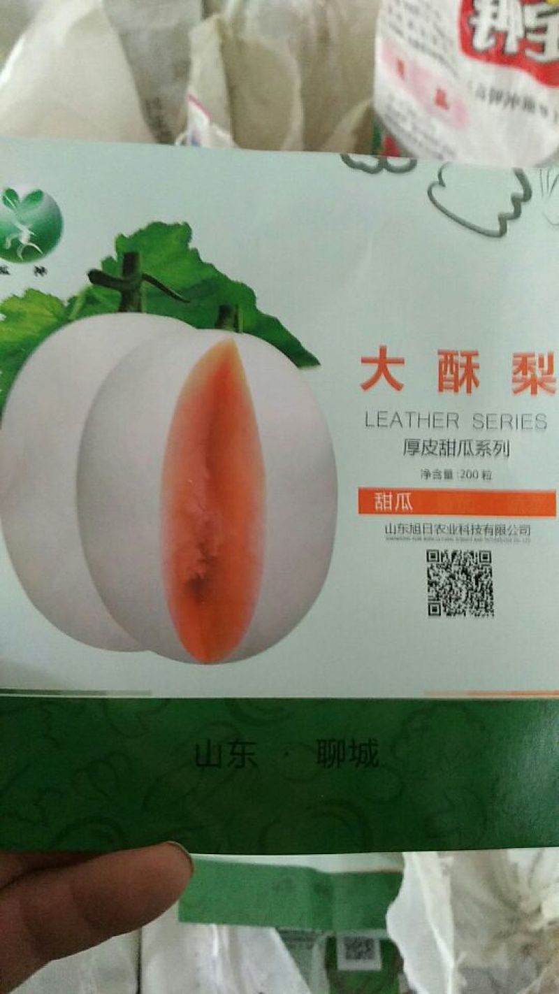 甜瓜种子