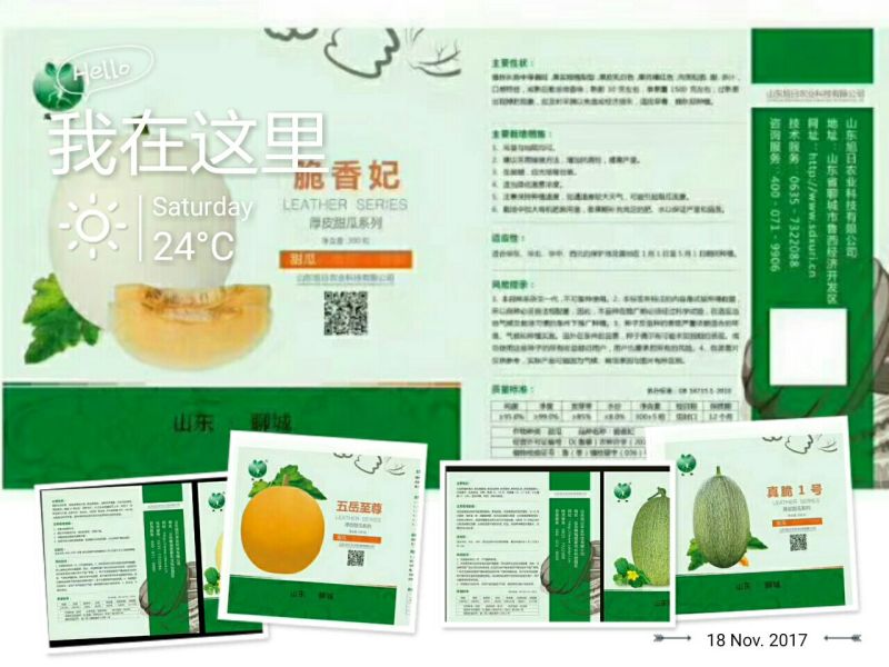 甜瓜种子