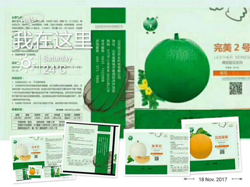甜瓜种子