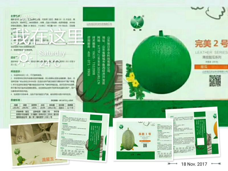 甜瓜种子