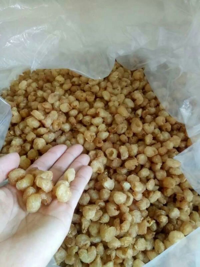 广西博白石硖桂圆散装正宗本地桂龙眼肉