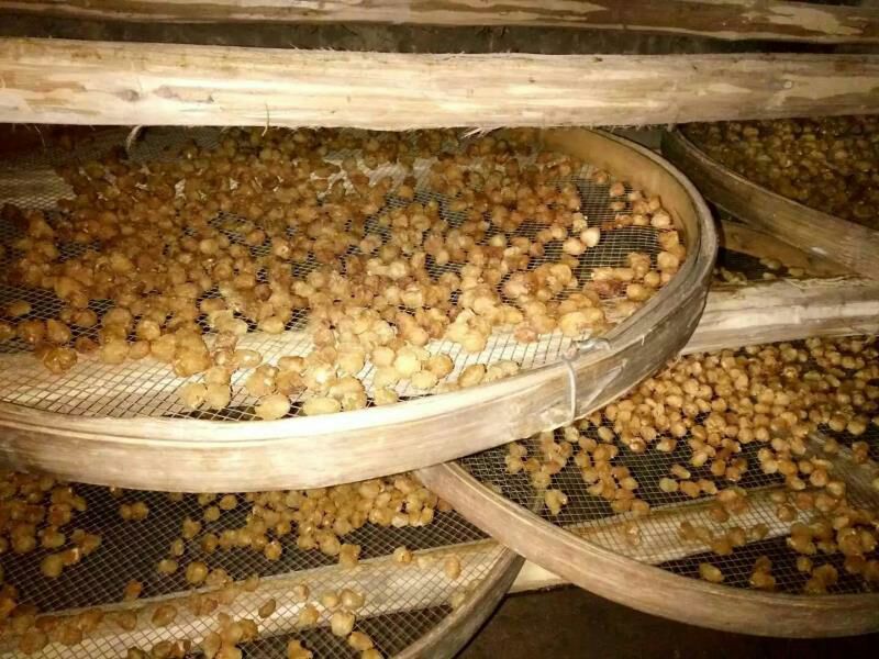 广西博白石硖桂圆散装正宗本地桂龙眼肉