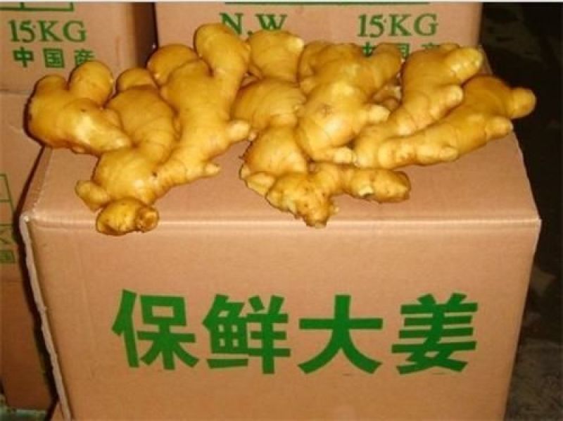 【优选】山东鲜姜老姜，面姜，鲜姜，产地热销一手货源保质