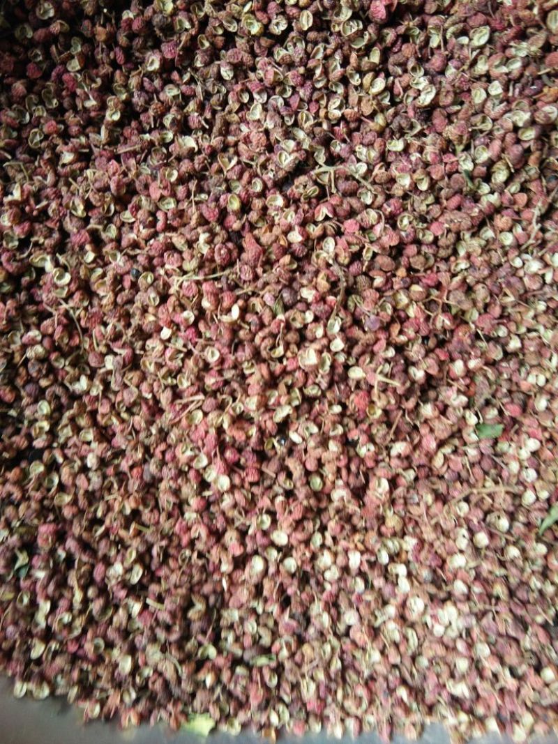 花椒大红袍花椒特级麻椒颜色好，麻度好，