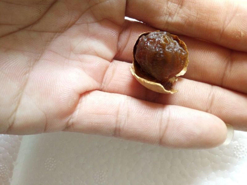 广西博白桂圆干5A一箱20斤