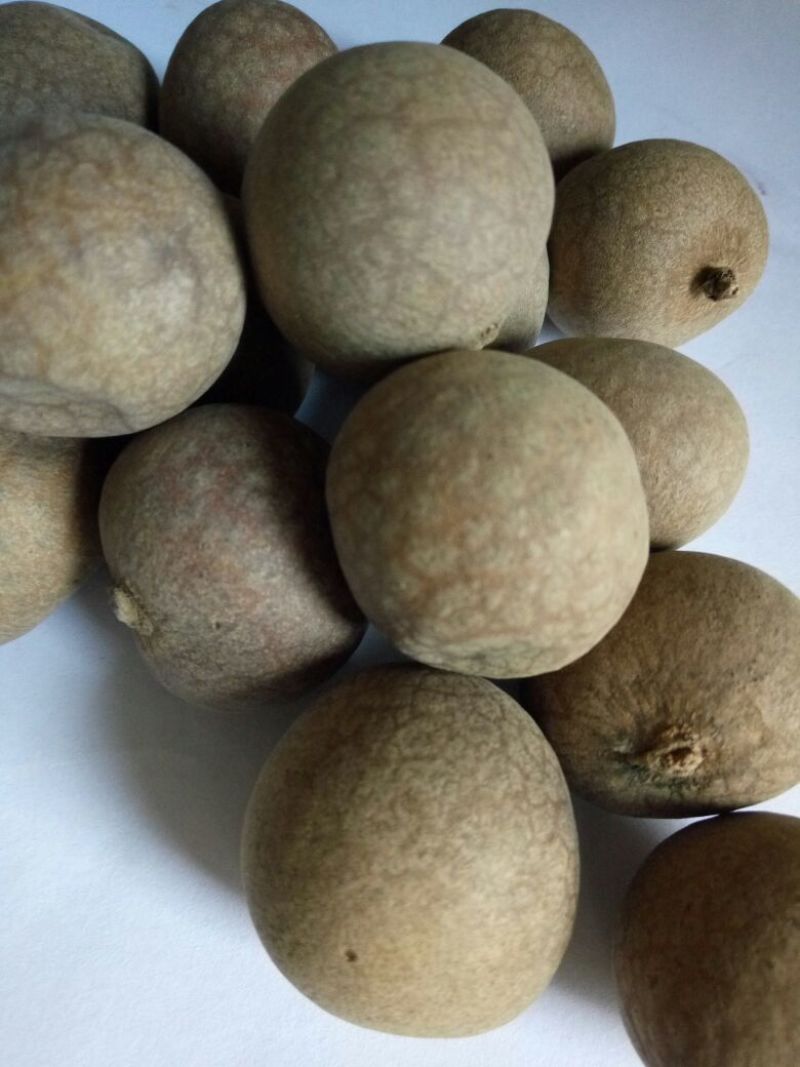 广西博白桂圆干5A一箱20斤