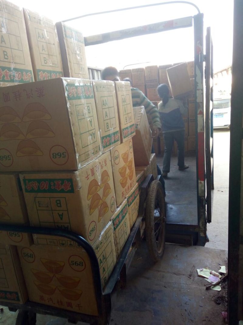 广西博白桂圆干5A一箱20斤