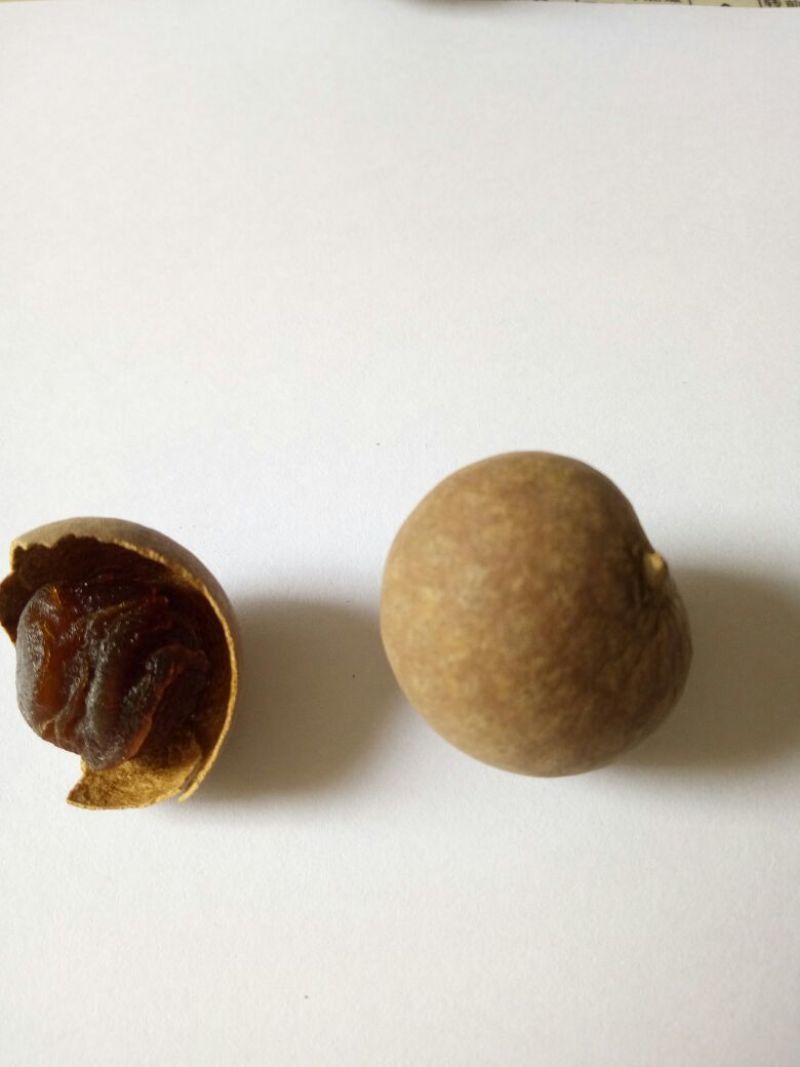 广西博白桂圆干5A一箱20斤