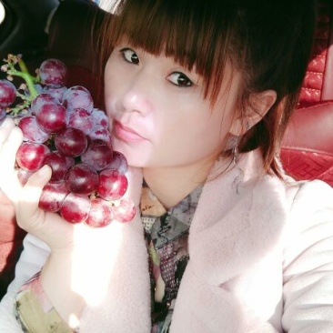 葡萄苗30cm以下1年