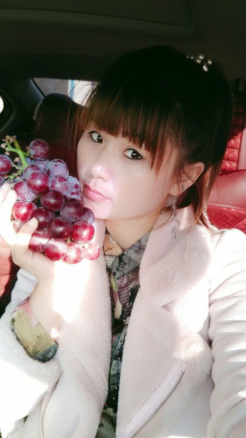 葡萄苗30cm以下1年