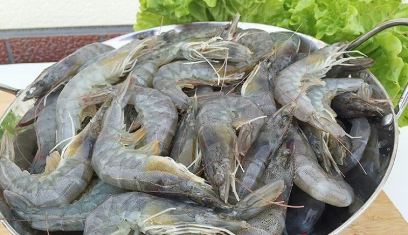 基围虾食用活虾
