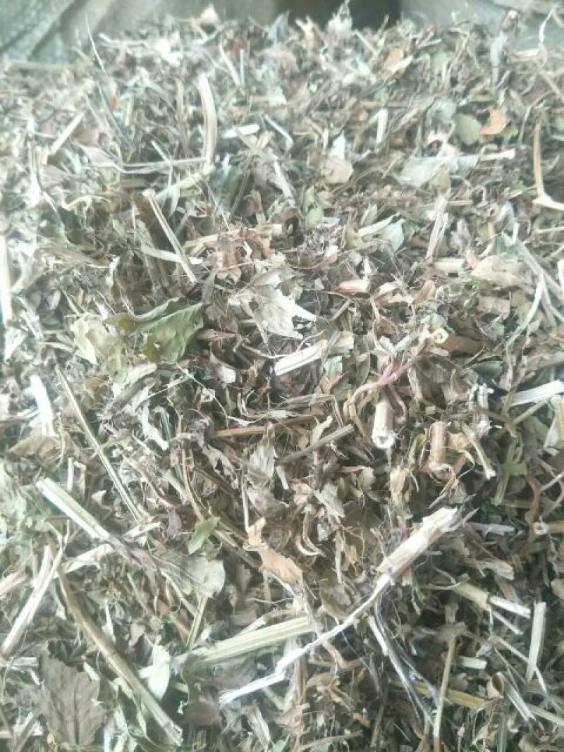 花生秧48个月