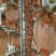 柿饼2~2.5两