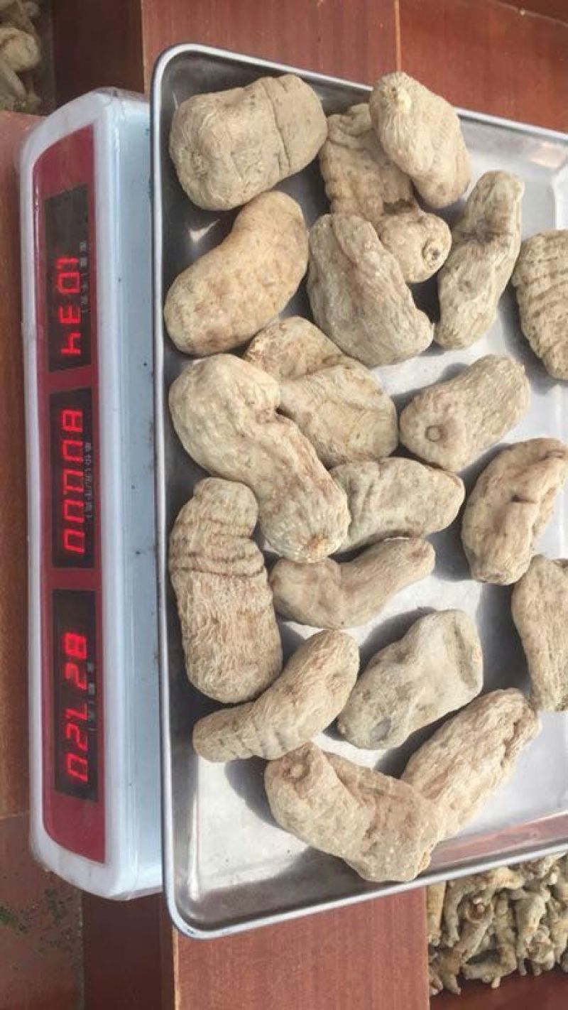 天麻一级