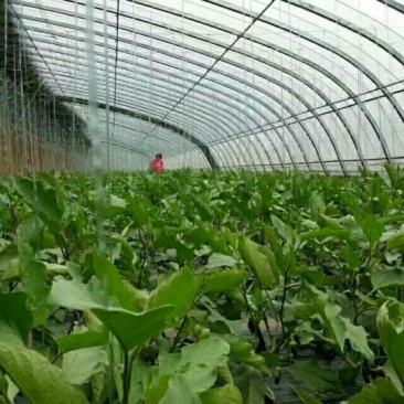 温室大棚系列热镀锌