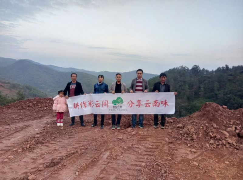 云南彝族黑山羊50斤以上公羊母羊包运输可到付（详询）