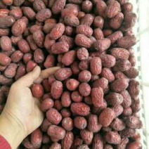 灰枣特级干枣