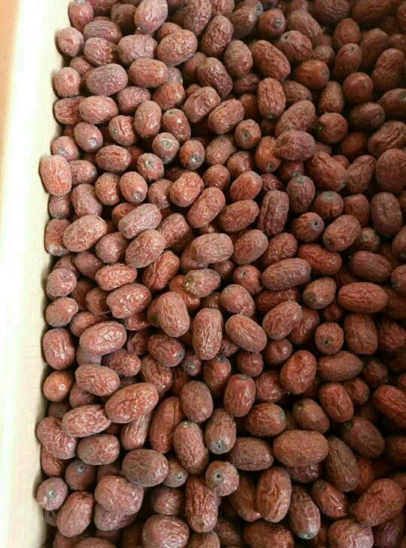 灰枣特级干枣
