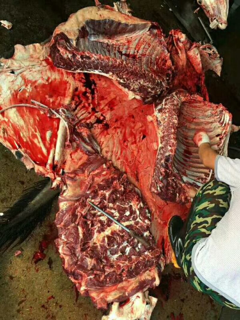 驴肉鲜货