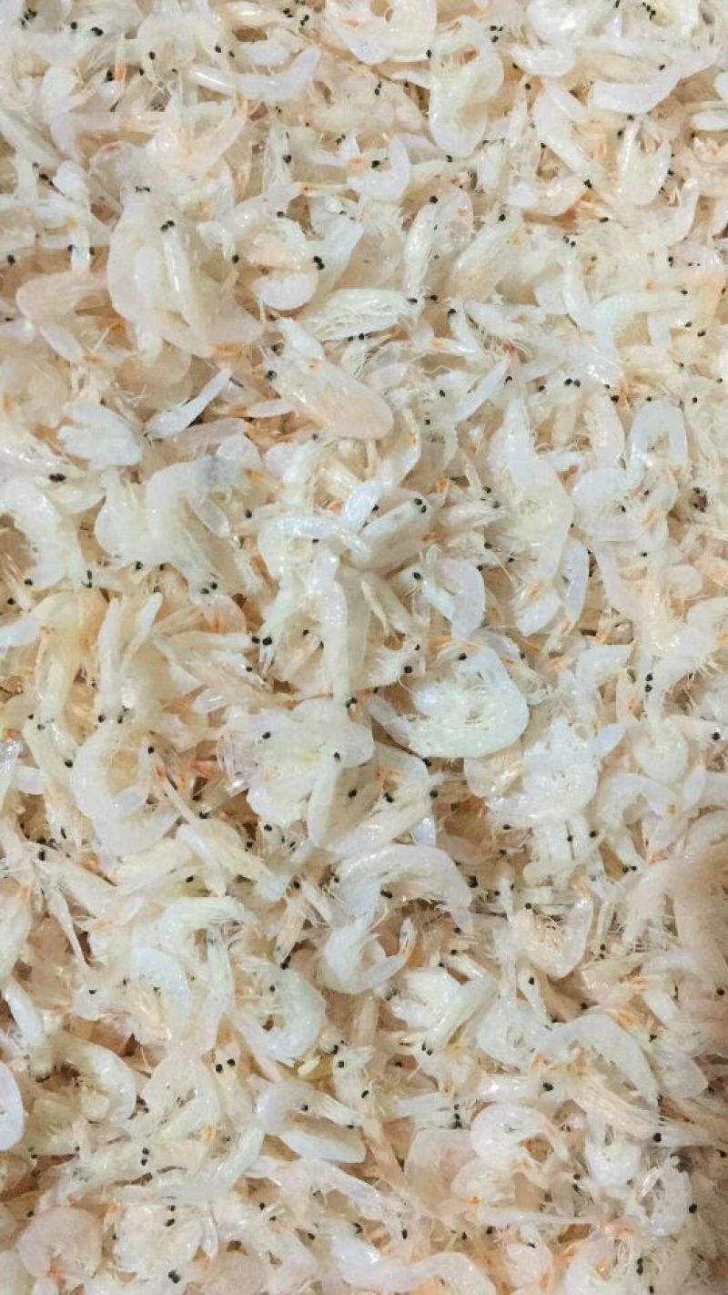 虾皮特级