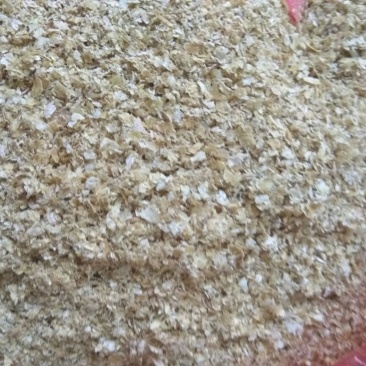 麦麸饲料
