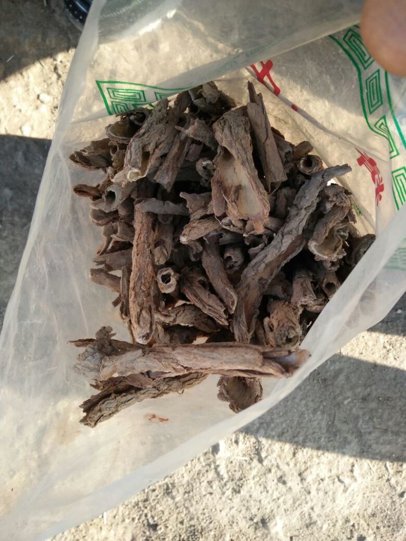 甘肃纯野生地骨皮，质量有保证杂志少