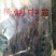甘肃纯野生地骨皮，质量有保证杂志少