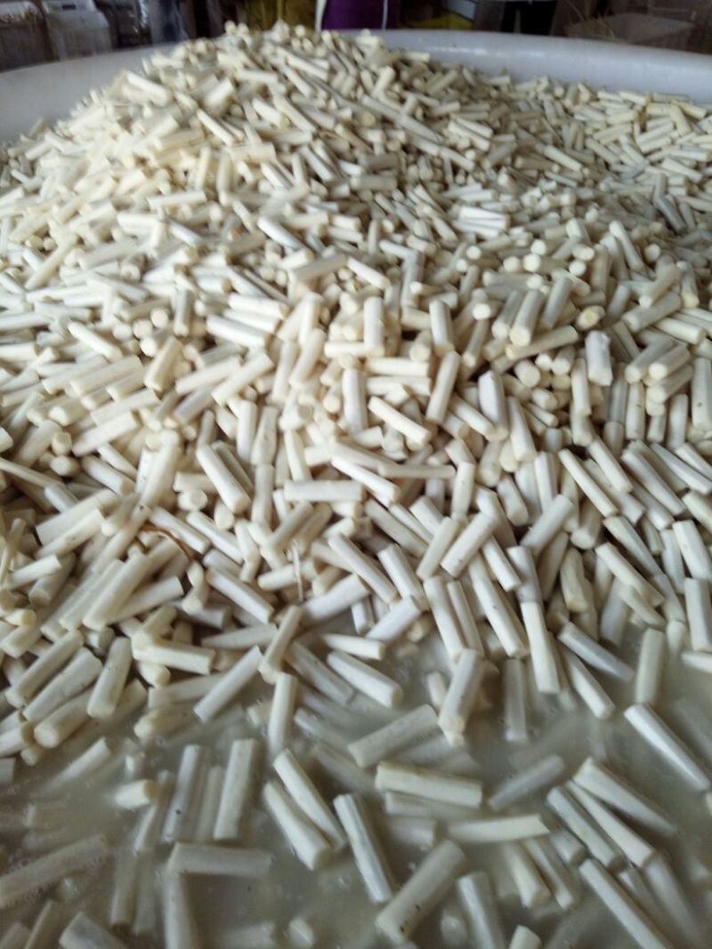 牛蒡茶牛蒡干新鲜牛蒡