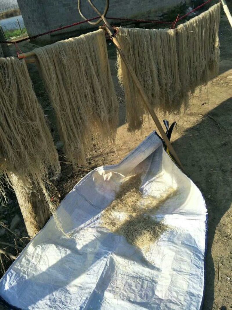 纯红薯粉条细粉宽粉大量供应！