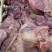 五香驴肉