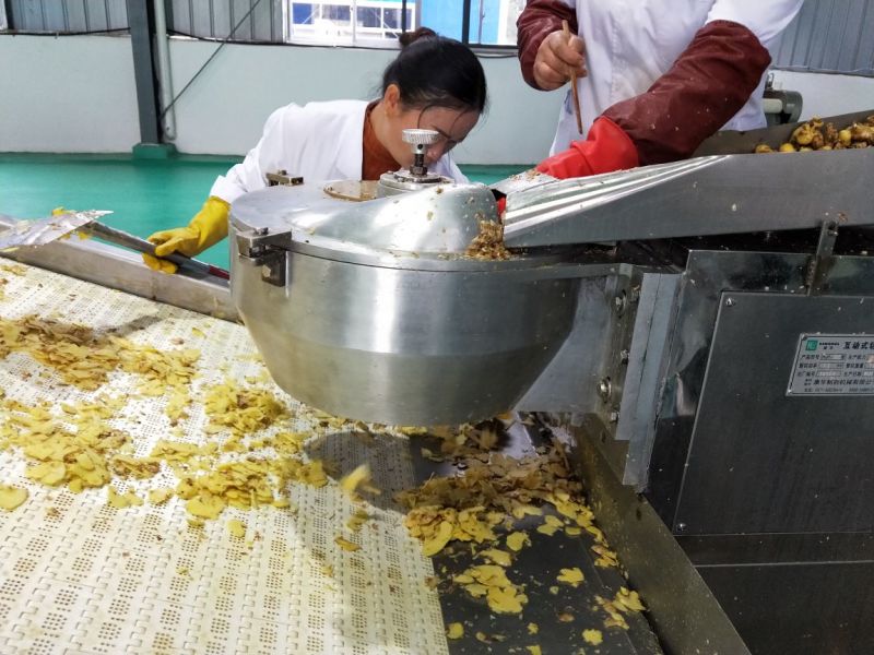 姜粉