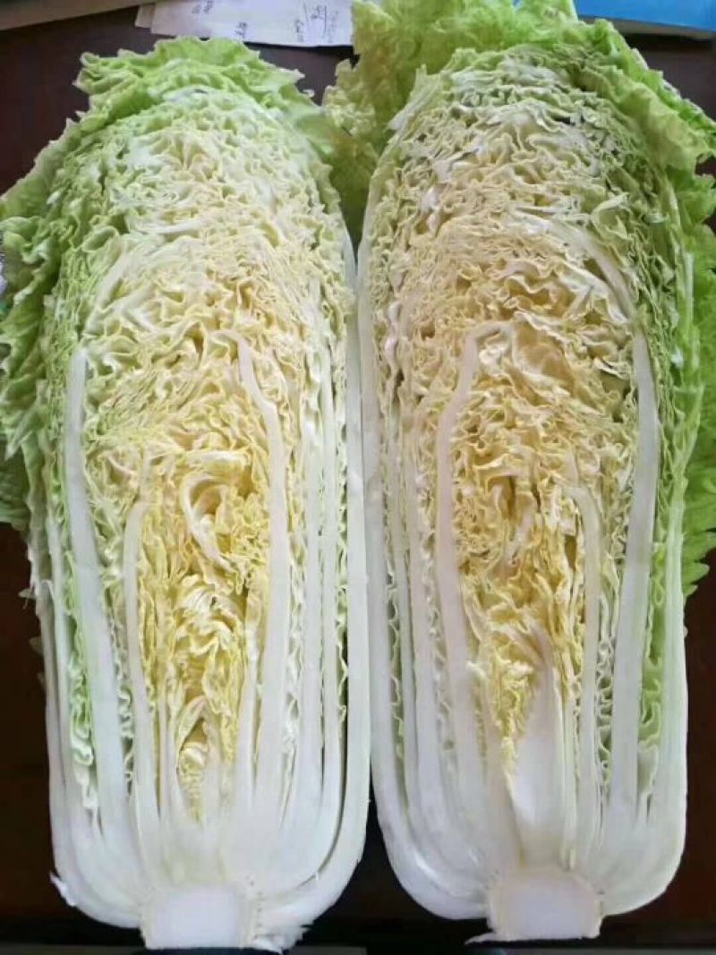 白菜焦作白北京新三号白菜净菜规格4~6斤协助找车