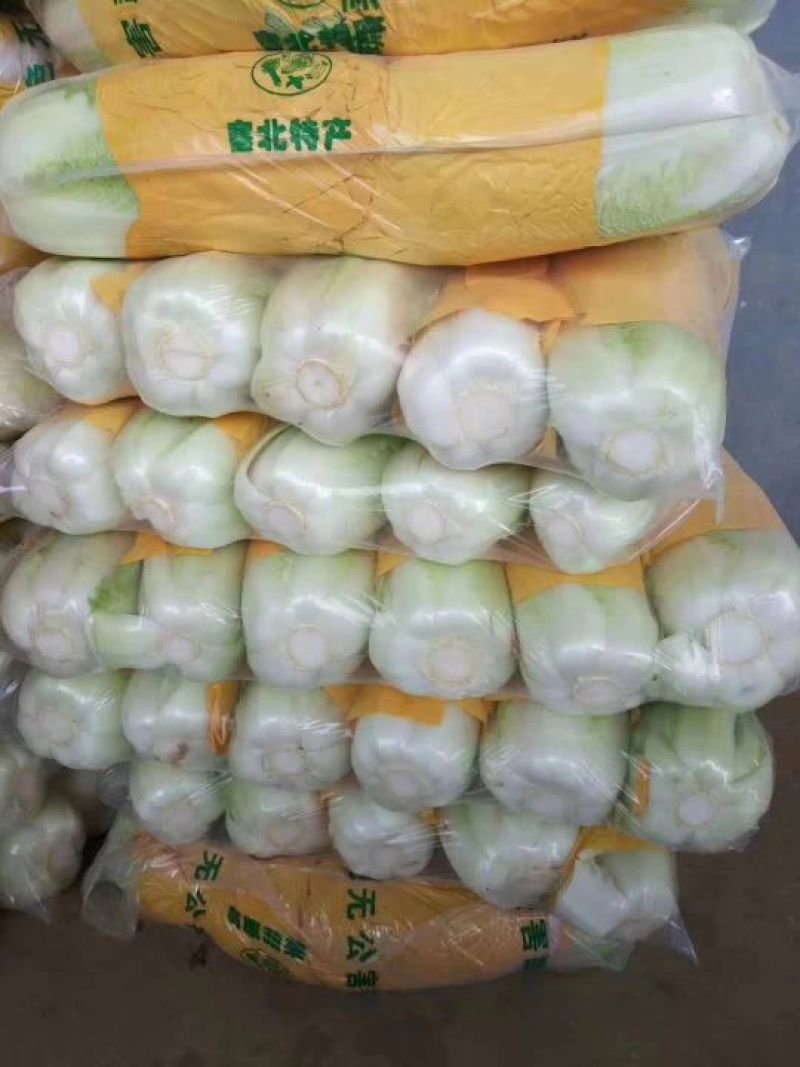 白菜焦作白北京新三号白菜净菜规格4~6斤协助找车