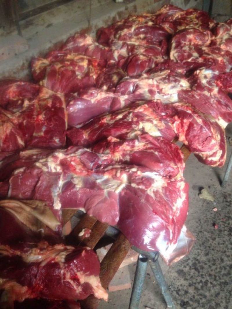 驴肉鲜货