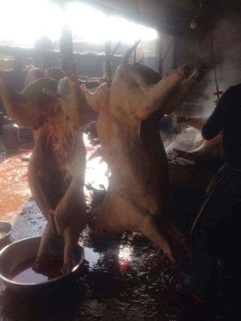 驴肉鲜货