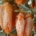 柿饼2~2.5两