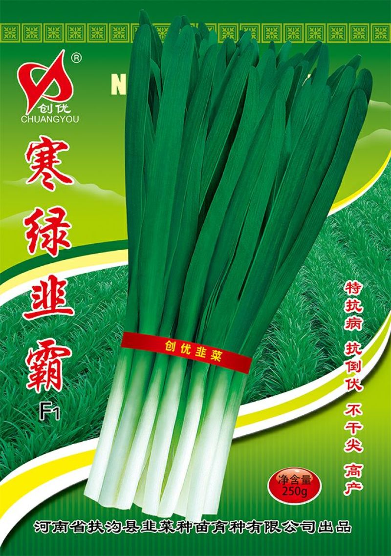 韭菜种子速生直立不休眠量大优惠，不要错过