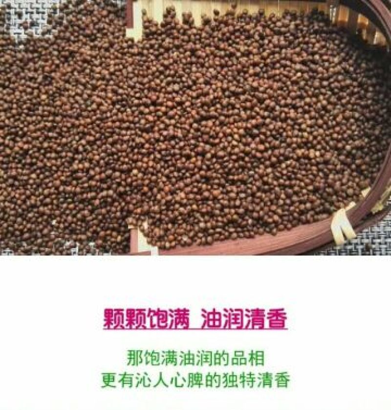 中药材食用苏子炒熟苏籽苏子粉可榨油食物馅料香料
