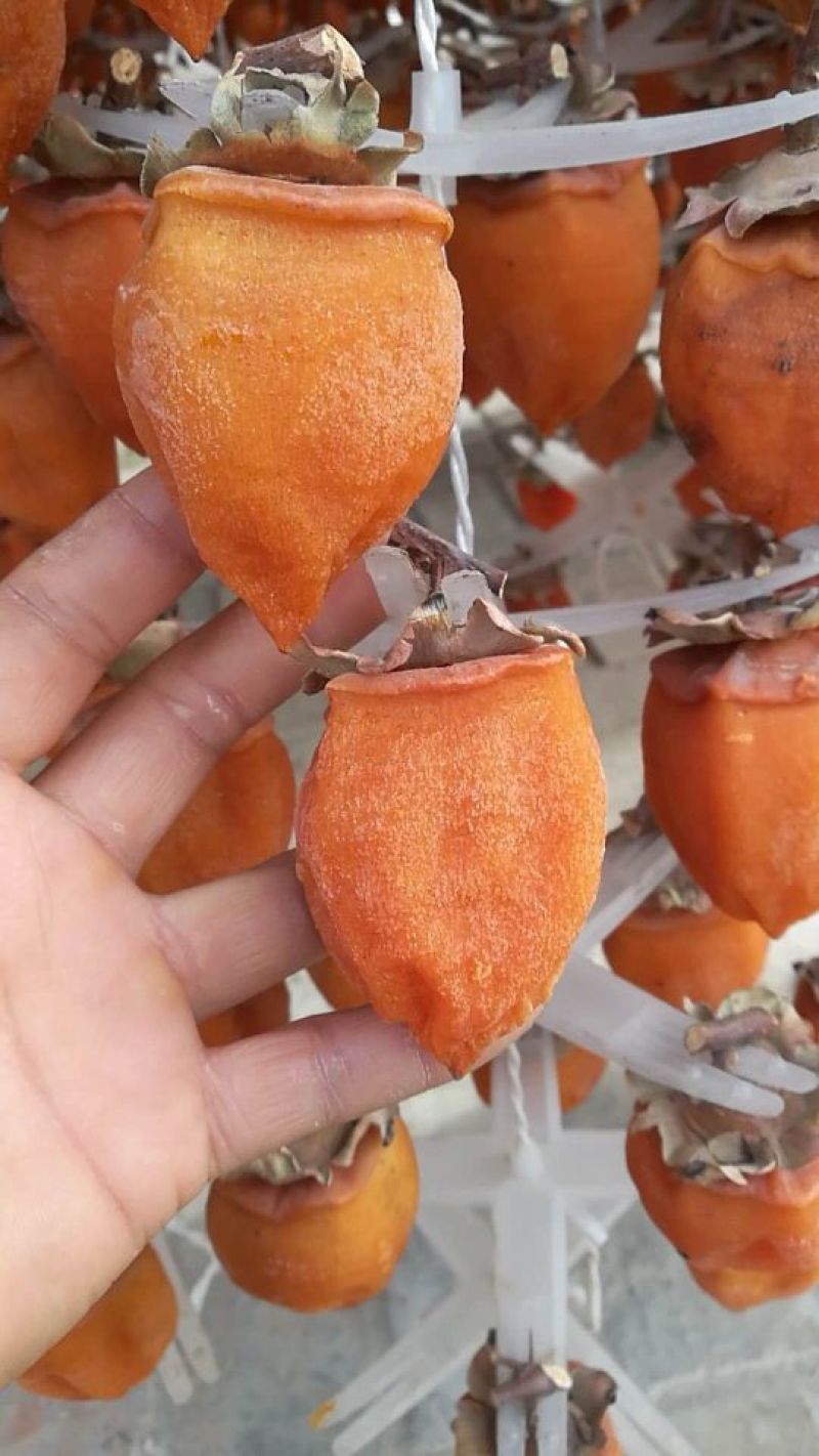 柿饼1~2两