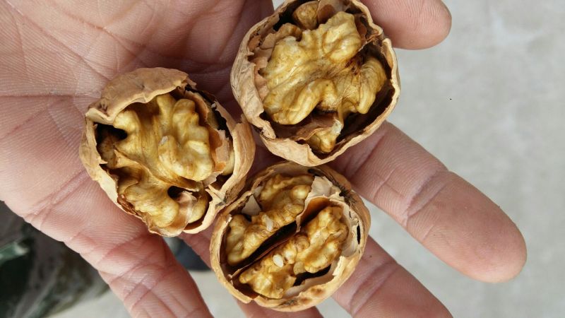 核桃去皮30mm以上干高质量规格品种齐全高质量产地