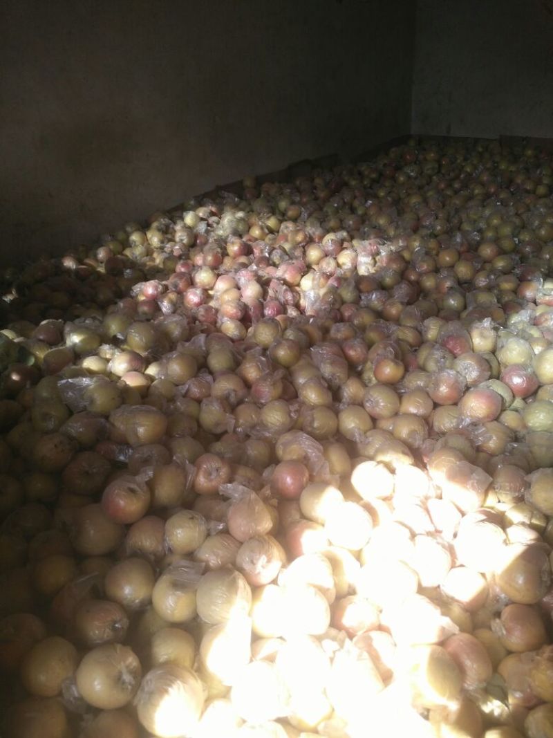 苹果70mm以上膜袋