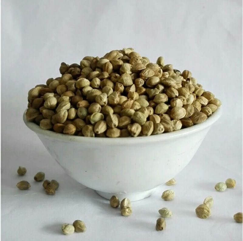 麻子(火麻仁)