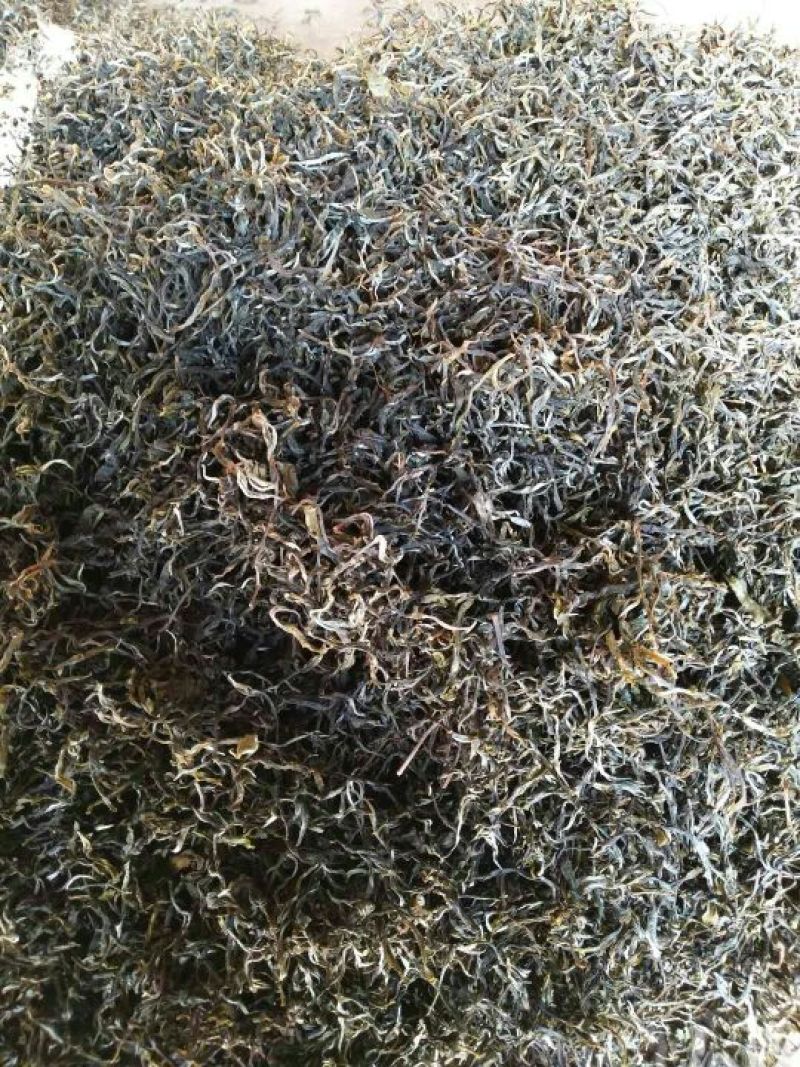 普洱茶三级