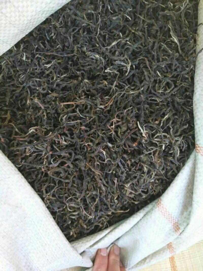 普洱茶三级