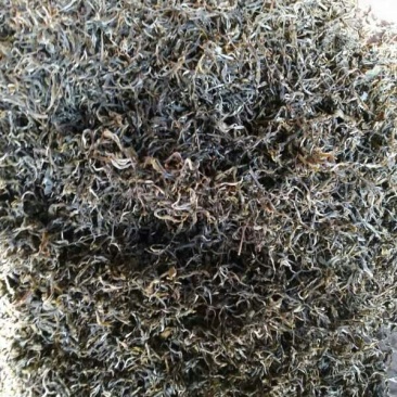 普洱茶三级